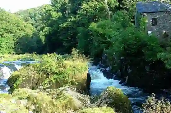 Cenarth Waterfalls