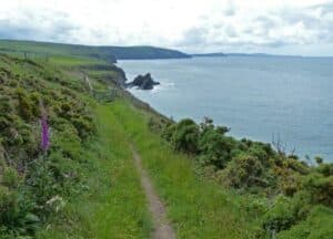 Pembrokeshire Coast Path towards Ceibwr Bay