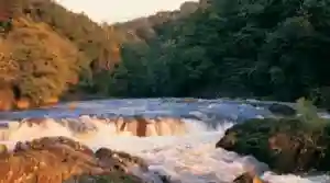 Cenarth Waterfalls